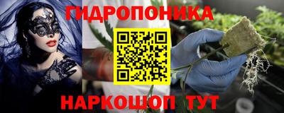 a pvp Обнинск